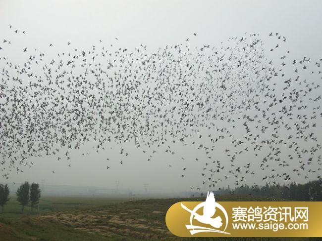 10����ѵ��