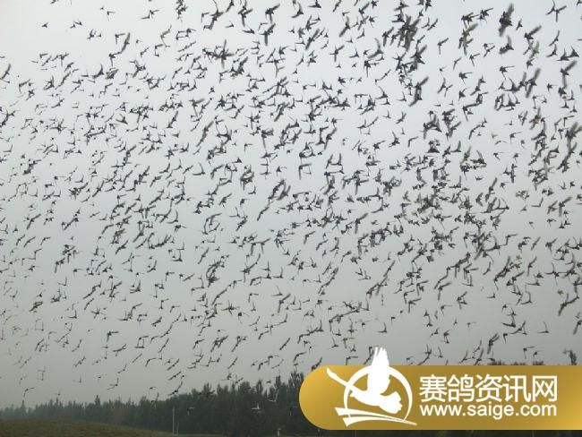 10����ѵ��