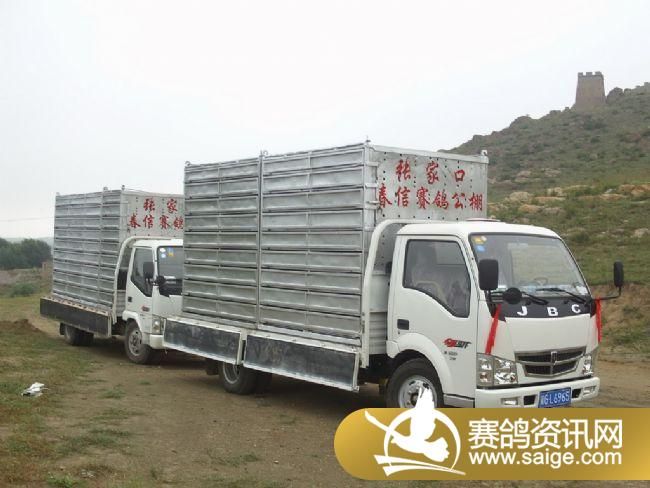 10����ѵ��