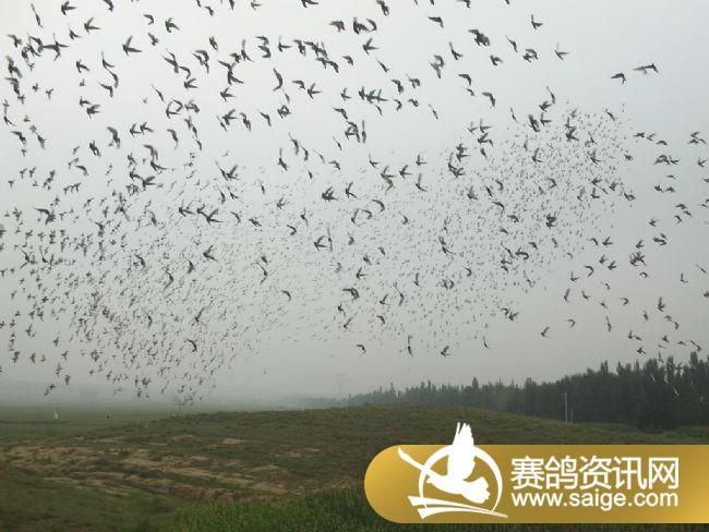 10����ѵ��