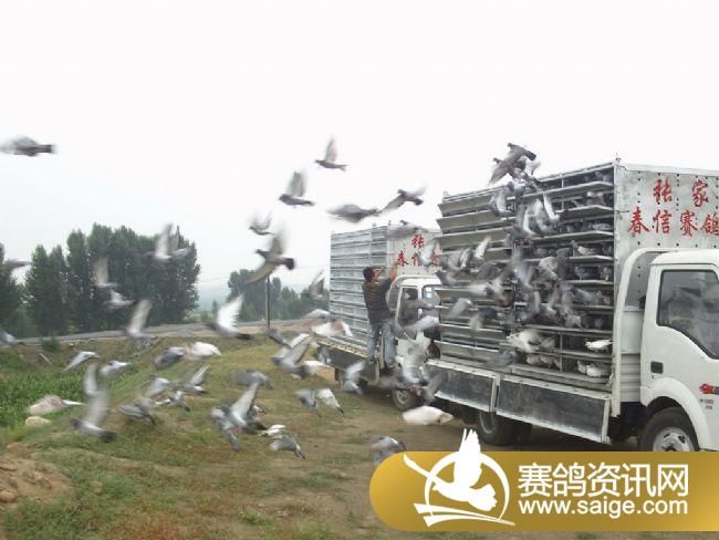 10����ѵ��