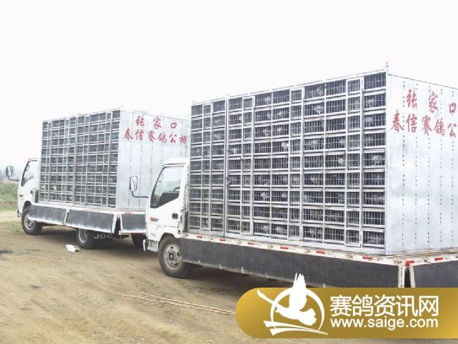 10����ѵ��