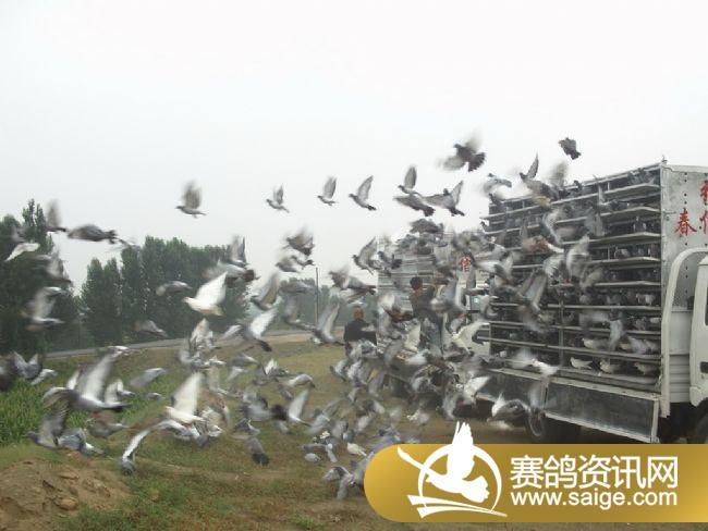 10����ѵ��