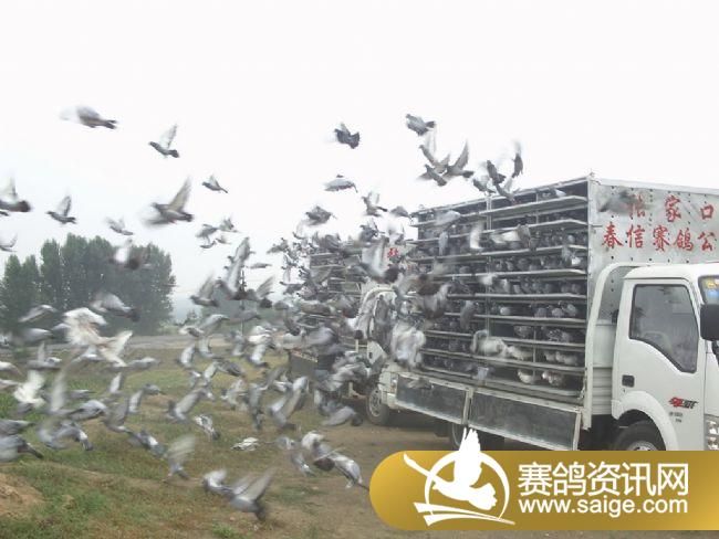 10����ѵ��