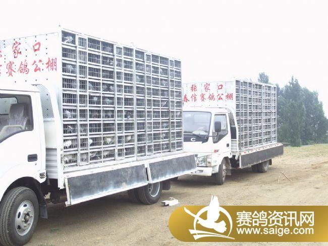 10����ѵ��