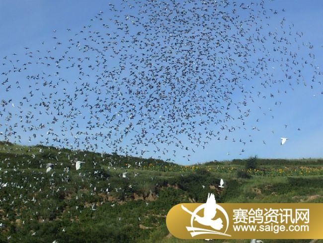 20����ѵ���ֳ�