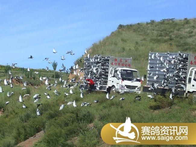 20����ѵ���ֳ�