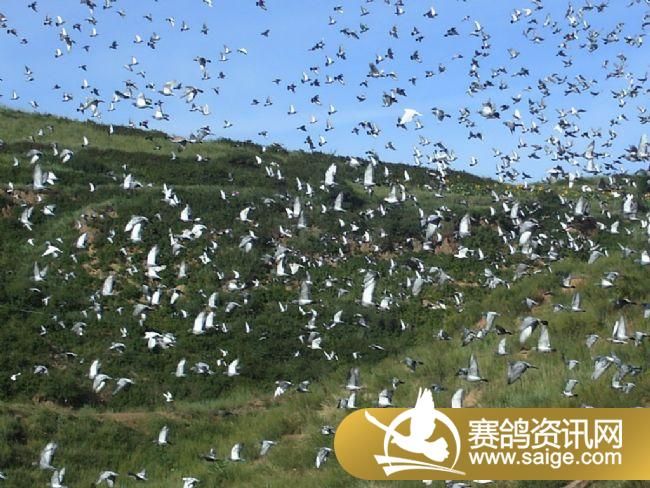 20����ѵ���ֳ�