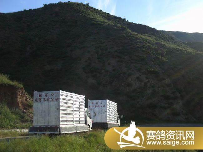 20����ѵ���ֳ�