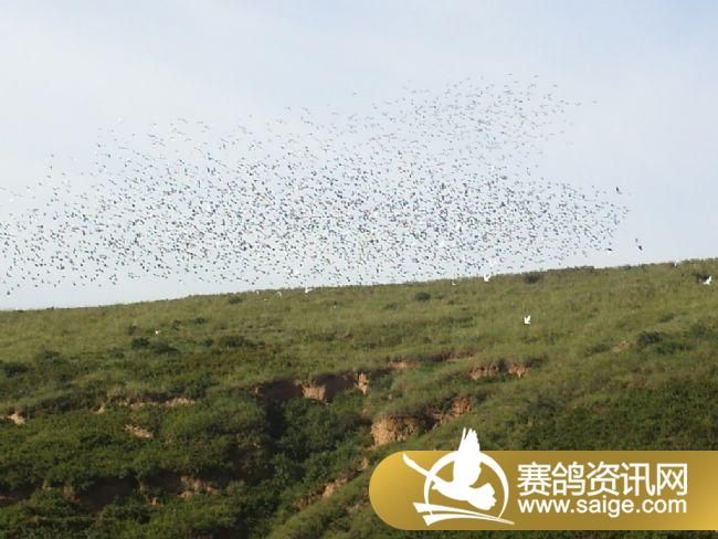 20����ѵ���ֳ�