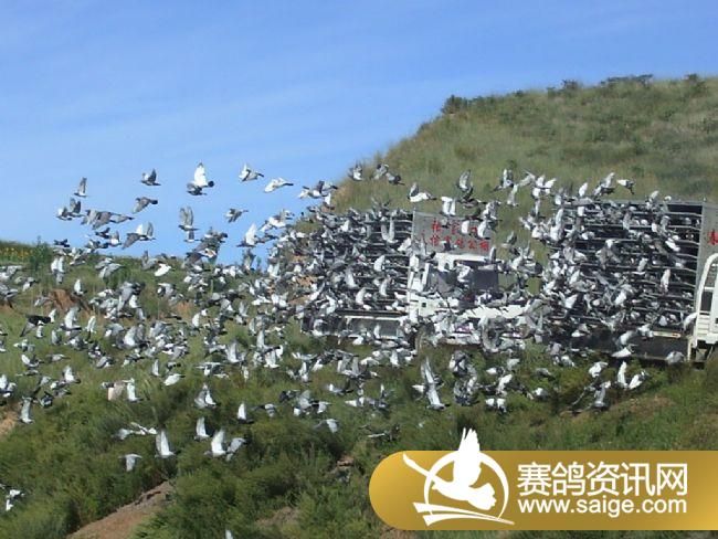 20����ѵ���ֳ�