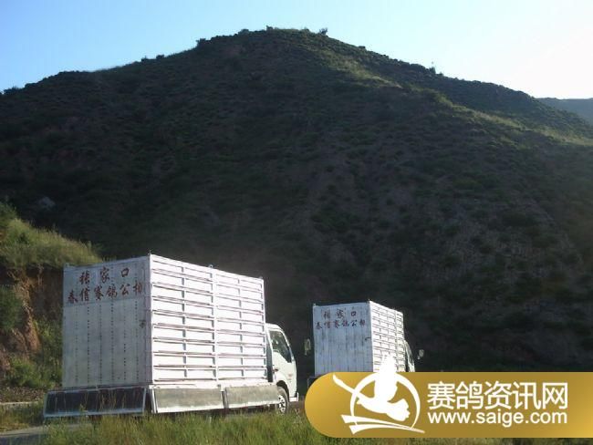 ѵ��20�����3��