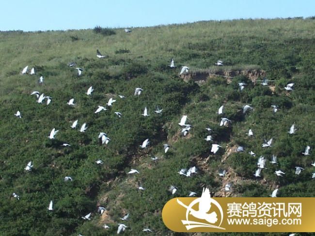 ѵ��20�����3��