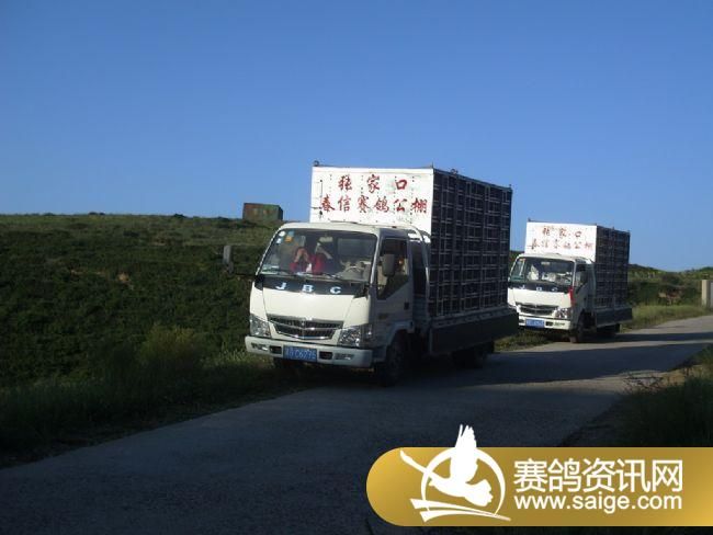 ѵ��20�����3��