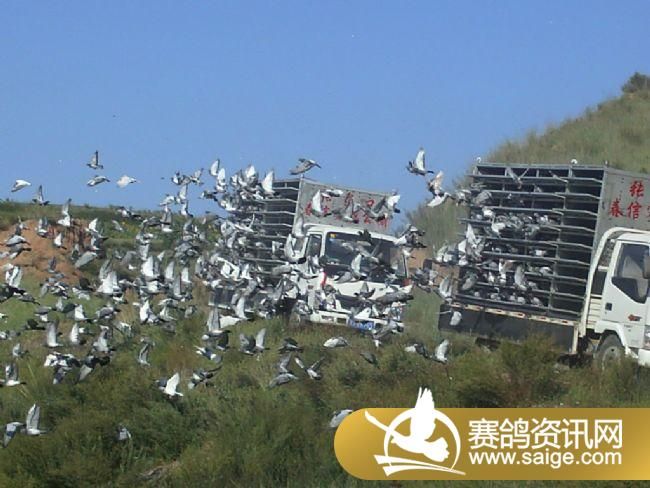 ѵ��20�����3��