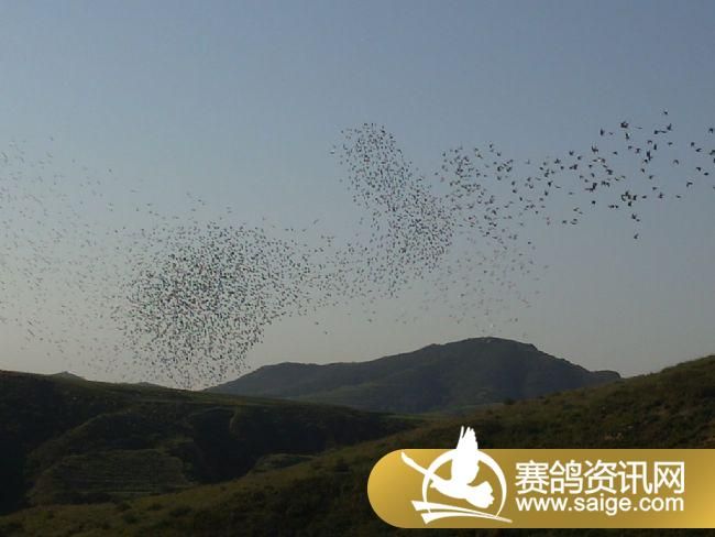 ѵ��20�����3��