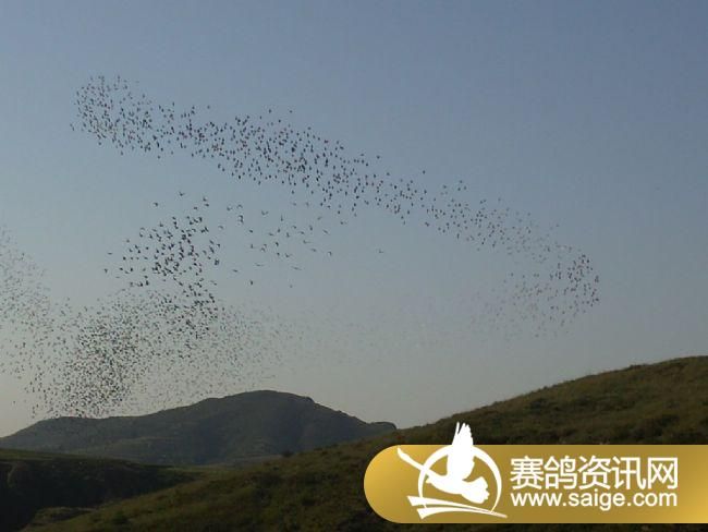 ѵ��20�����3��