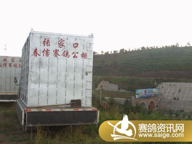 50����ѵ��