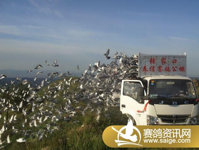 50����ѵ��