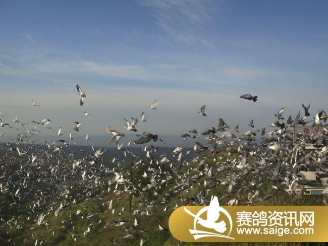 50����ѵ��