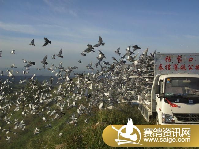 50����ѵ��