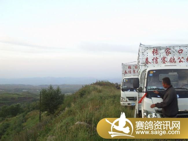 50����ѵ��