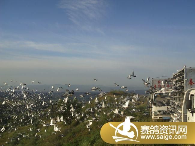 50����ѵ��