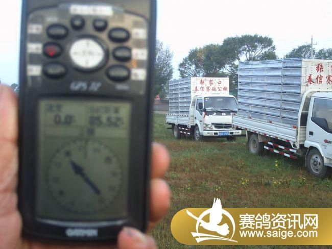 85����ѵ��