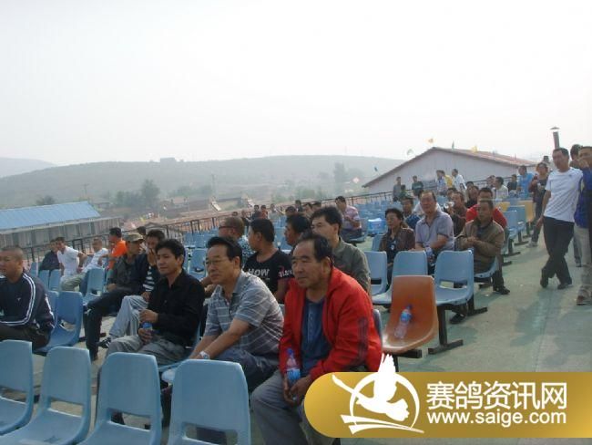 85����ѵ��