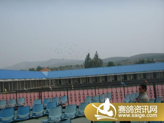 85����ѵ��