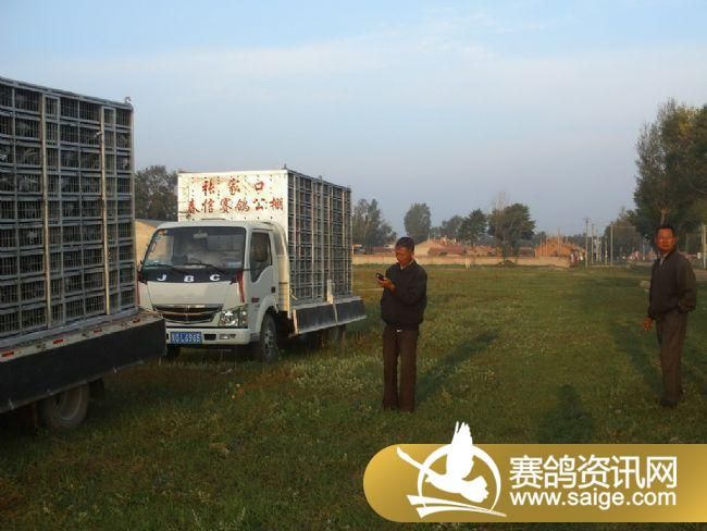 85����ѵ��