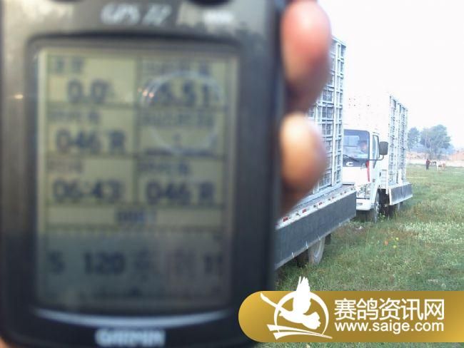 85����ѵ��