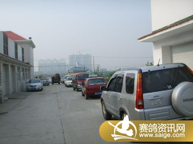 85����ѵ��