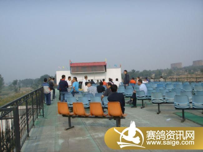 85����ѵ��