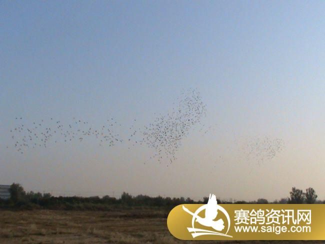 2010��9��12��