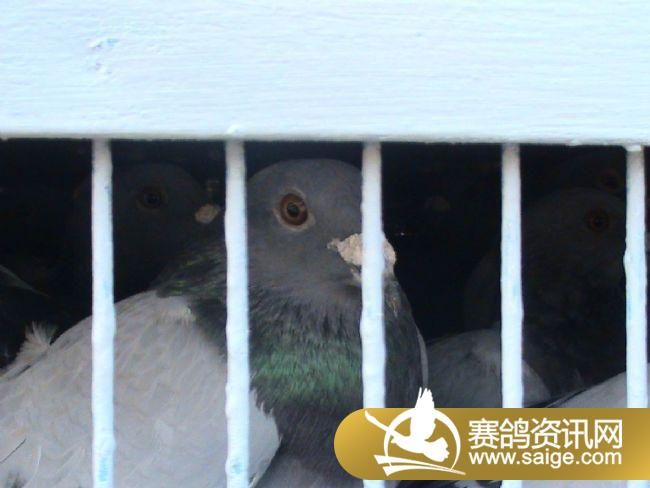 2010��9��13��