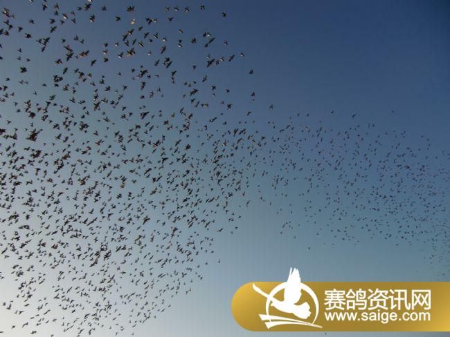 200����ѵ��