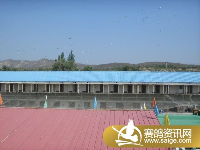 200����ѵ��