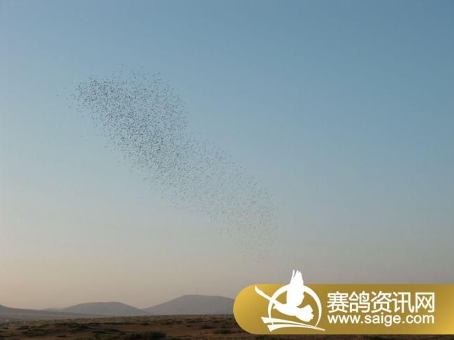 200����ѵ��