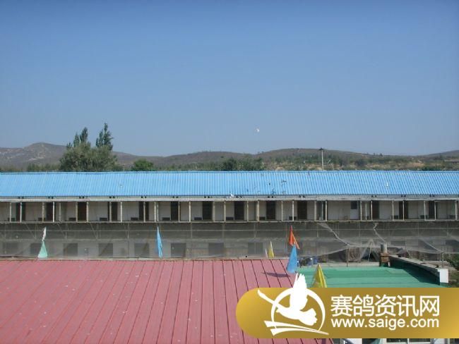 200����ѵ��