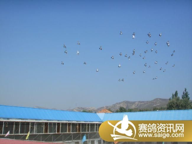 200����ѵ��