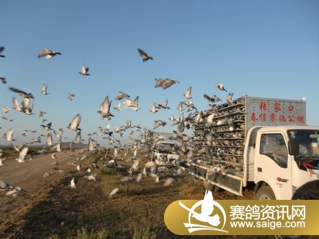 200����ѵ��