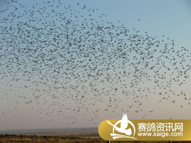 200����ѵ��