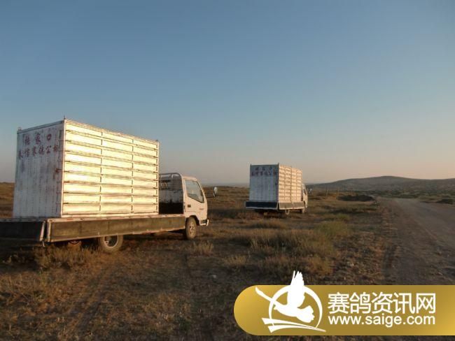 200����ѵ��