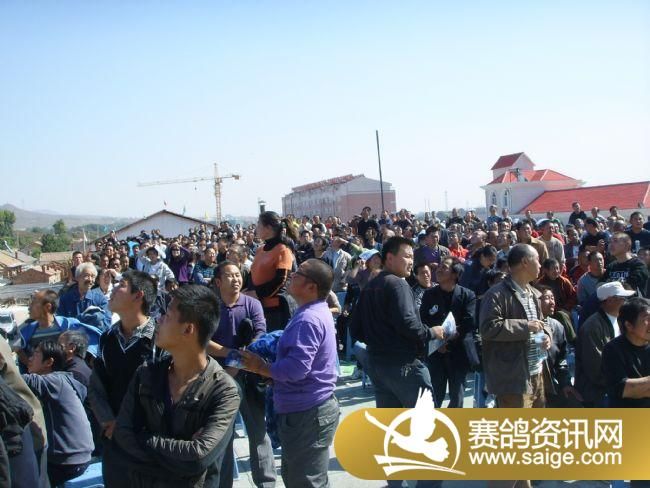 ���Ź���300����Ԥ�������ֳ�