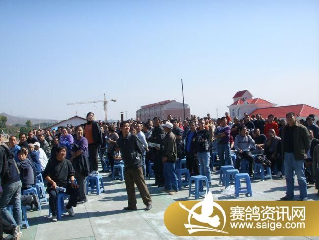 ���Ź���300����Ԥ�������ֳ�