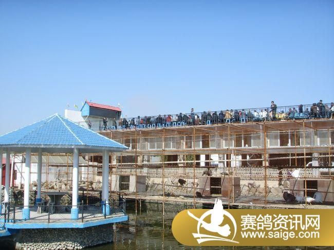 ���Ź���300����Ԥ�������ֳ�