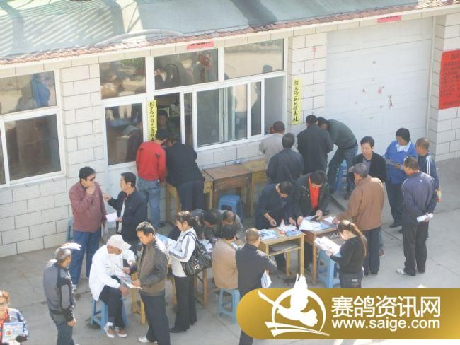 ���Ź���300����Ԥ�������ֳ�