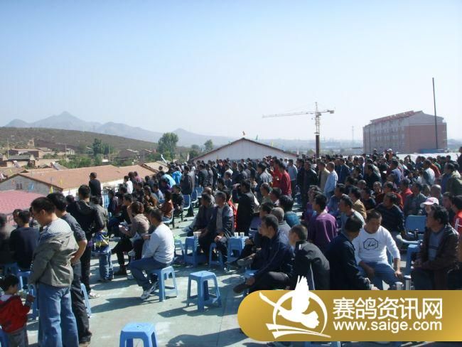 ���Ź���300����Ԥ�������ֳ�