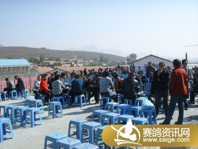 ���Ź���300����Ԥ�������ֳ�